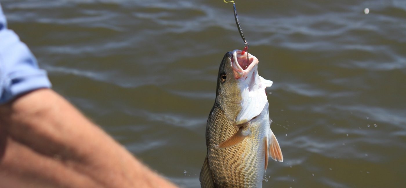 Line Fishing - Rivernithfishings.co.uk