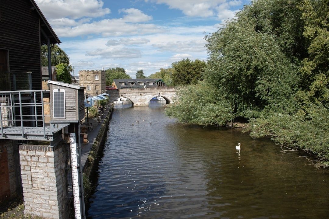 River channel with a visible water-level gauge, bridge, and swan