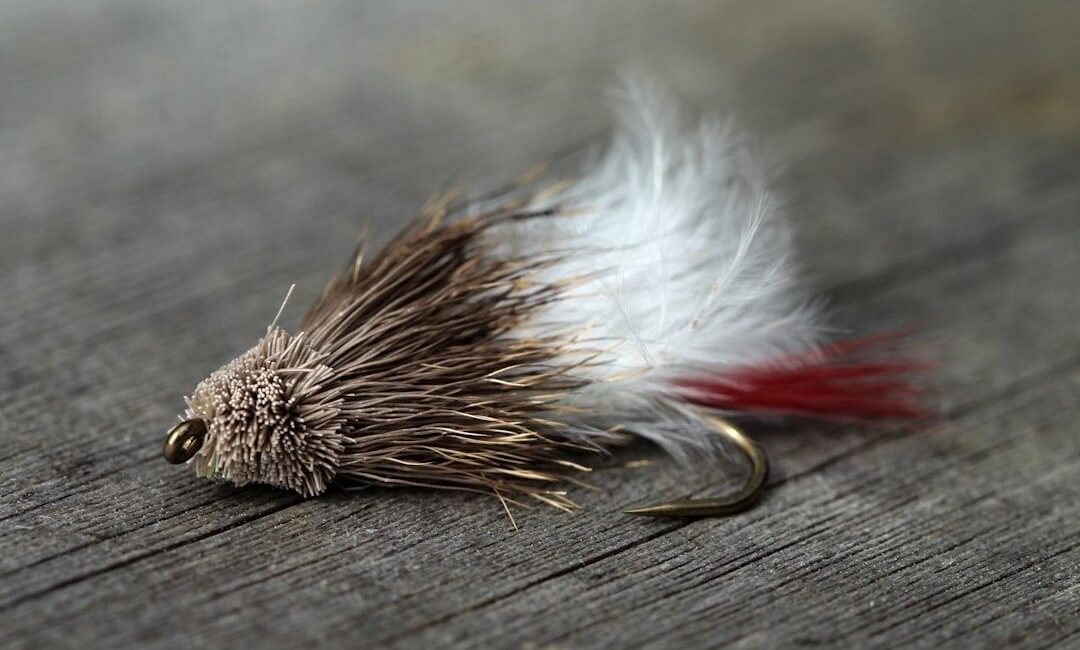 Feathered fishing fly with a curved hook on a wooden surface